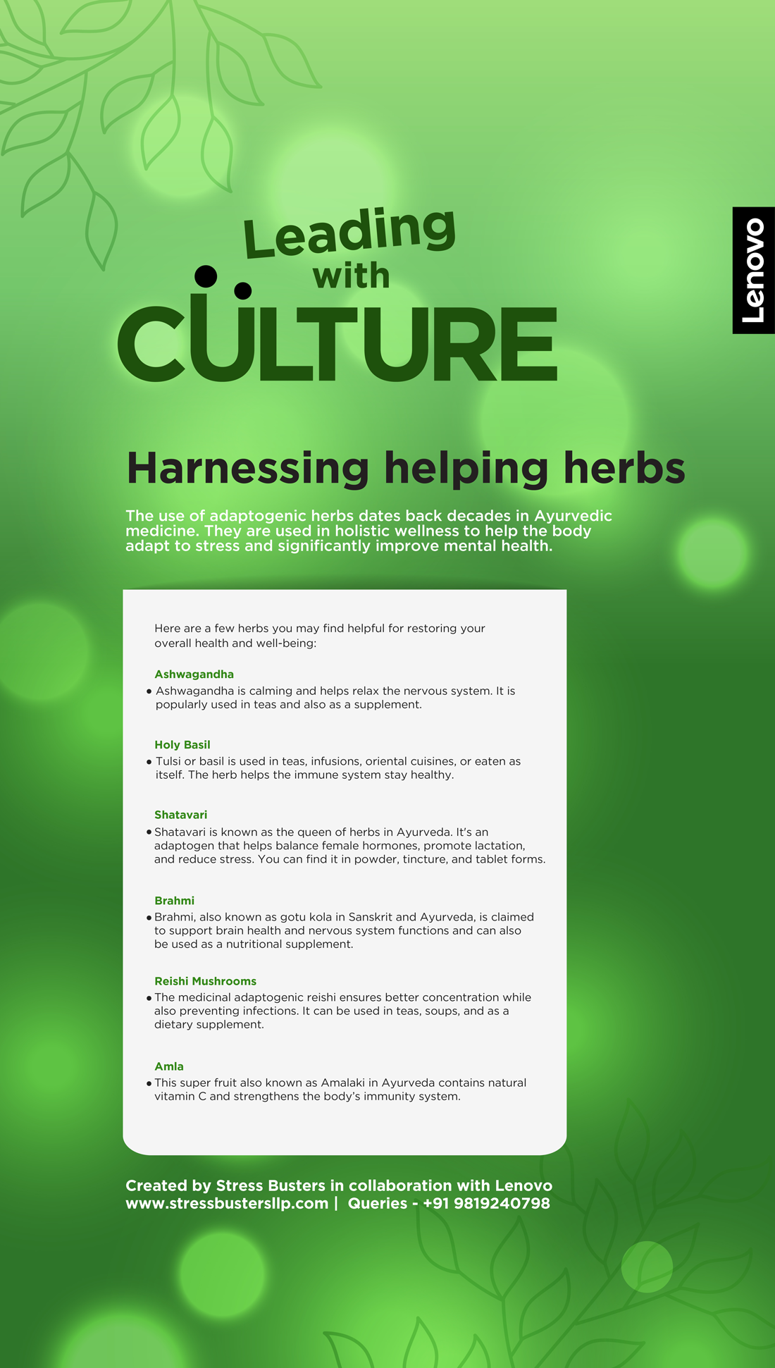 harnessing-helping-herbs